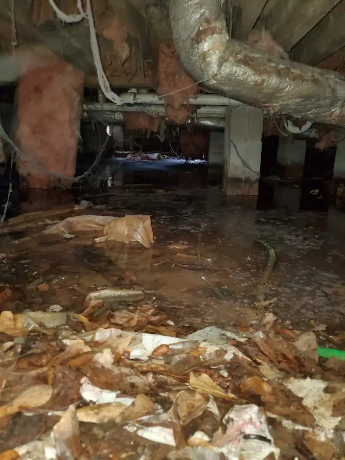 Crawl space flood assessment for Leak Detection & Repair in Rapid City