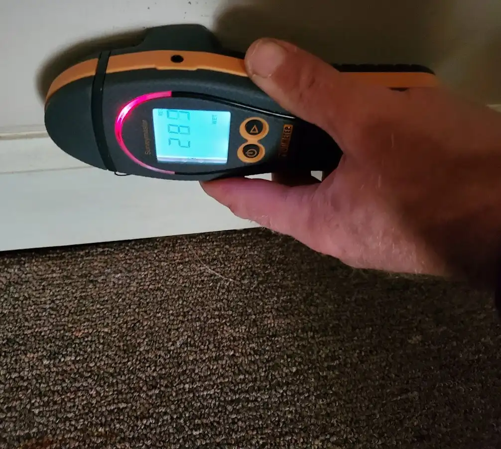 Moisture detection at baseboard during Mold Inspection & Testing in Rapid City